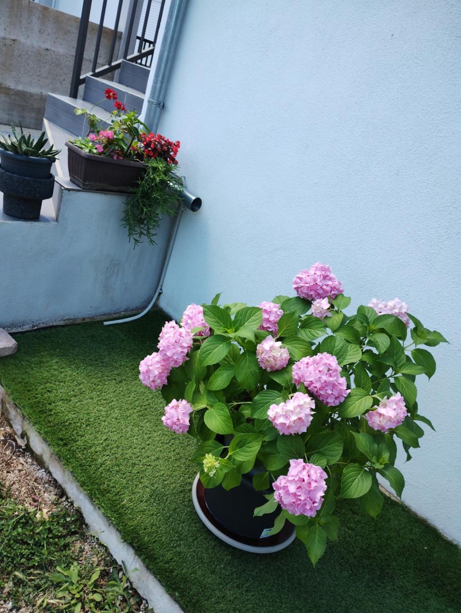 Apartman Enia Murvica  Phòng bức ảnh